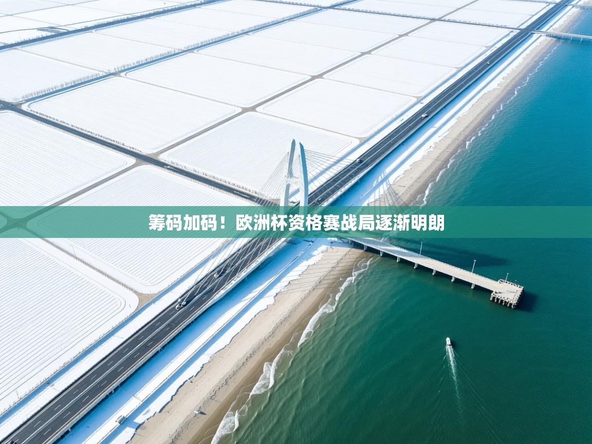 筹码加码!欧洲杯资格赛战局逐渐明朗 第2张